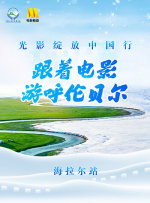 速战拍档